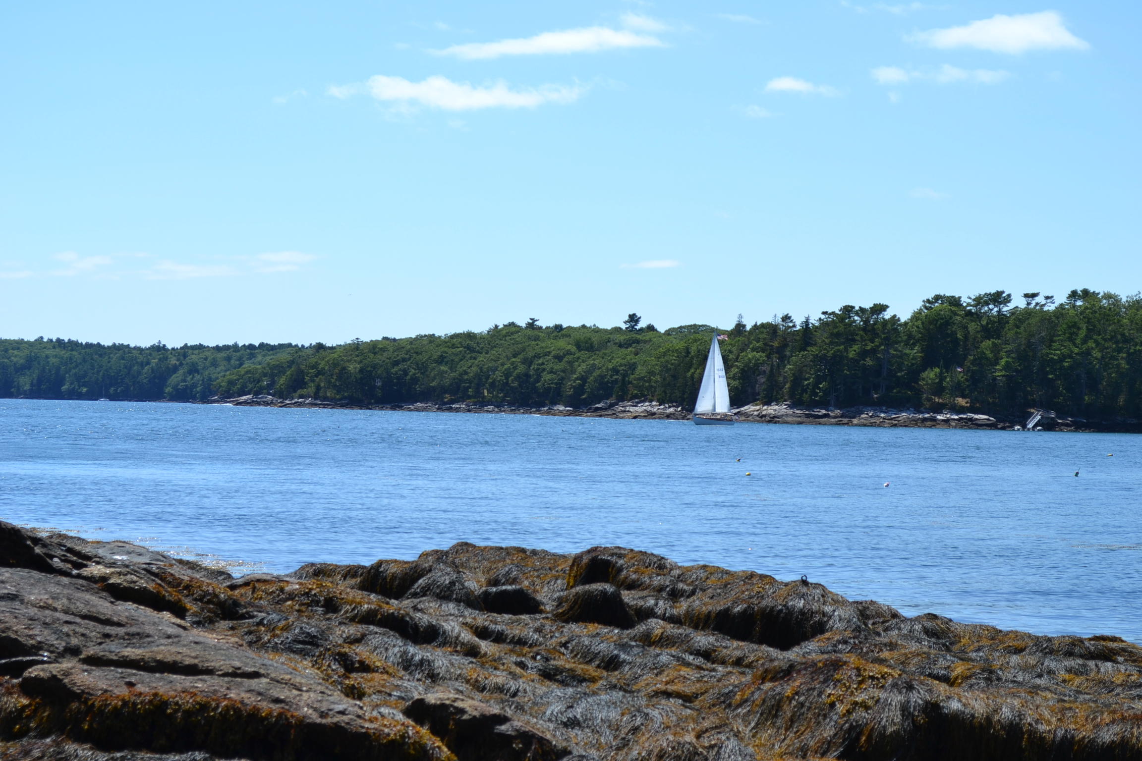 0 Pemaquid Harbor Road Pemaquid, ME 04558 - Photo 6 of 16 DSC_0690