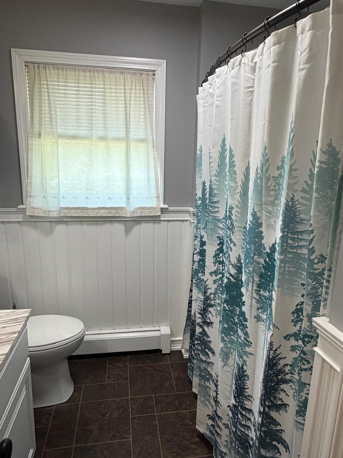 110 Hanson Lake Road Mapleton, ME 04757 - Photo 23 of 29 Bathroom