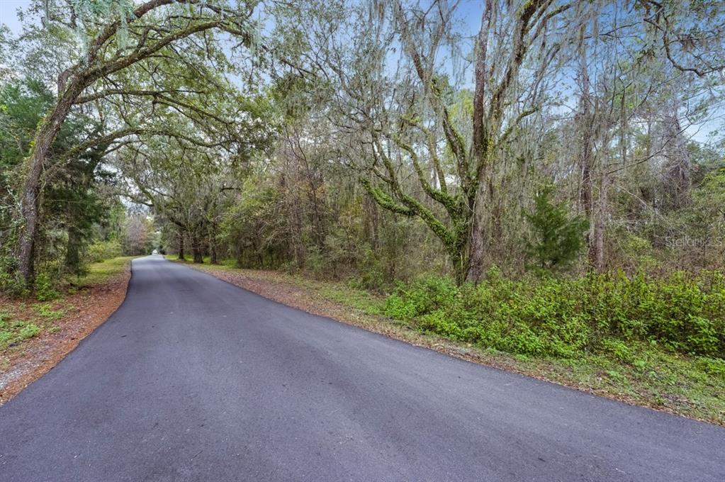 Gold Hill Road Brooksville, FL 34604 - Photo 7 of 25 Gallery Image 7