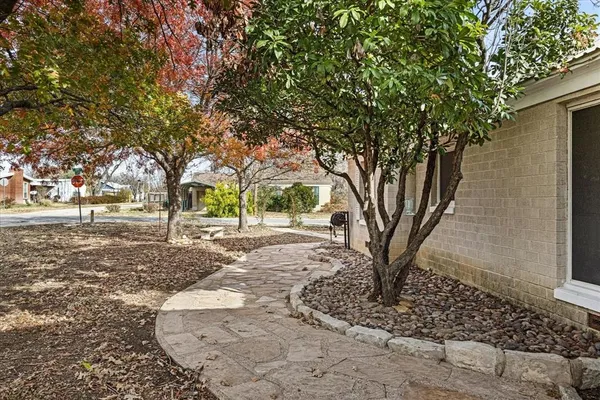 a view of a yard with plants and trees