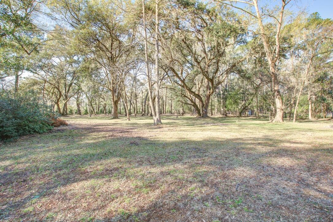 8115 Adams Run School Road Adams Run, SC 29426 - Photo 46 of 49 Backyard