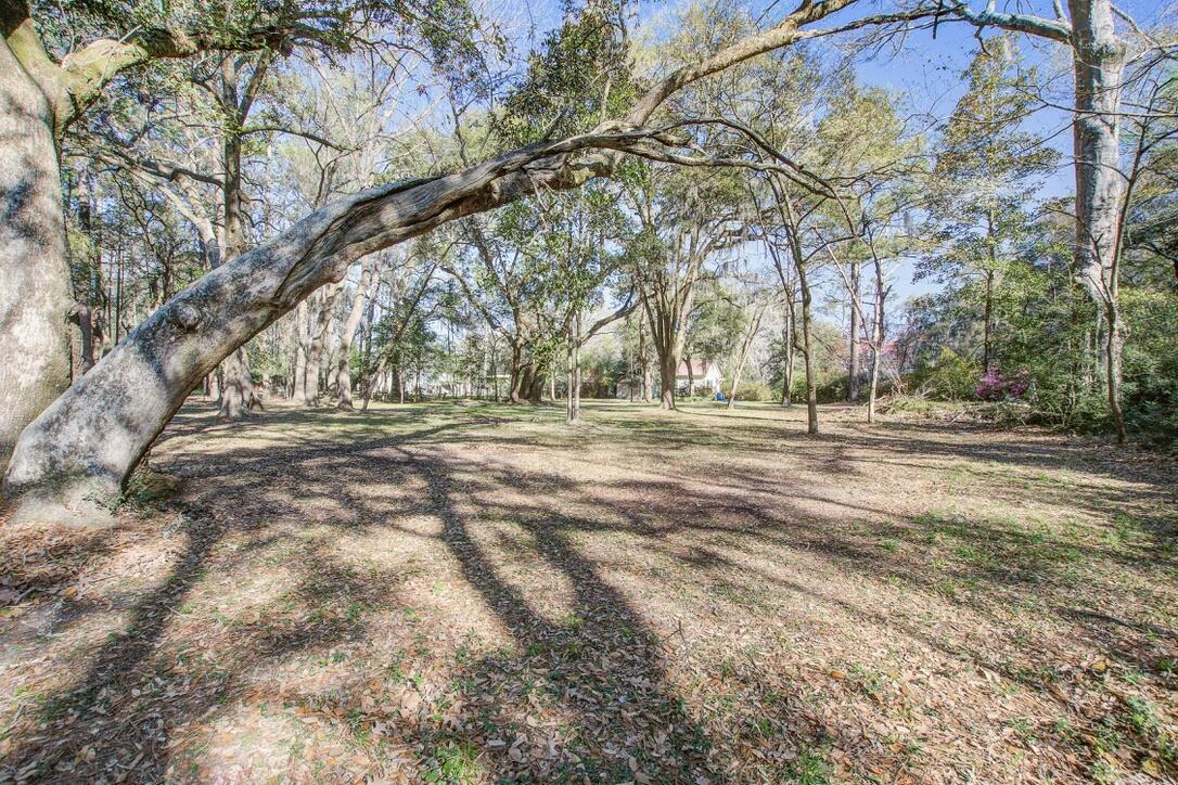 8115 Adams Run School Road Adams Run, SC 29426 - Photo 47 of 49 Backyard