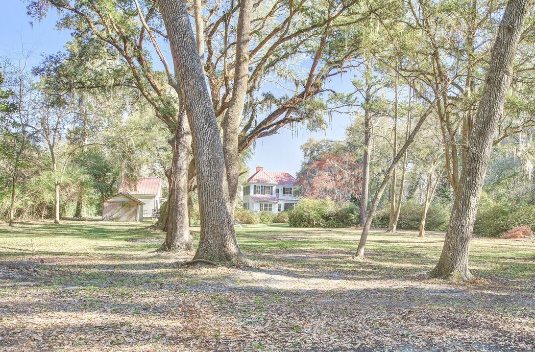 8115 Adams Run School Road Adams Run, SC 29426 - Photo 48 of 49 Backyard