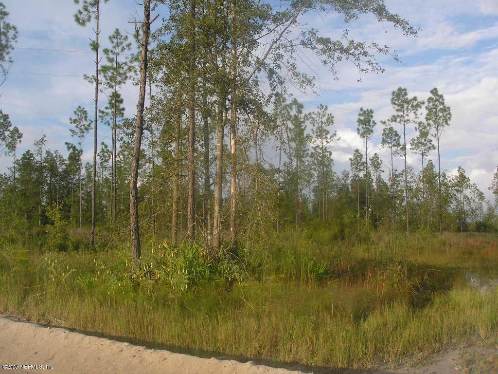 0 Cow Pen Road Sanderson, FL 32087 - Photo 1 of 1 20 acres