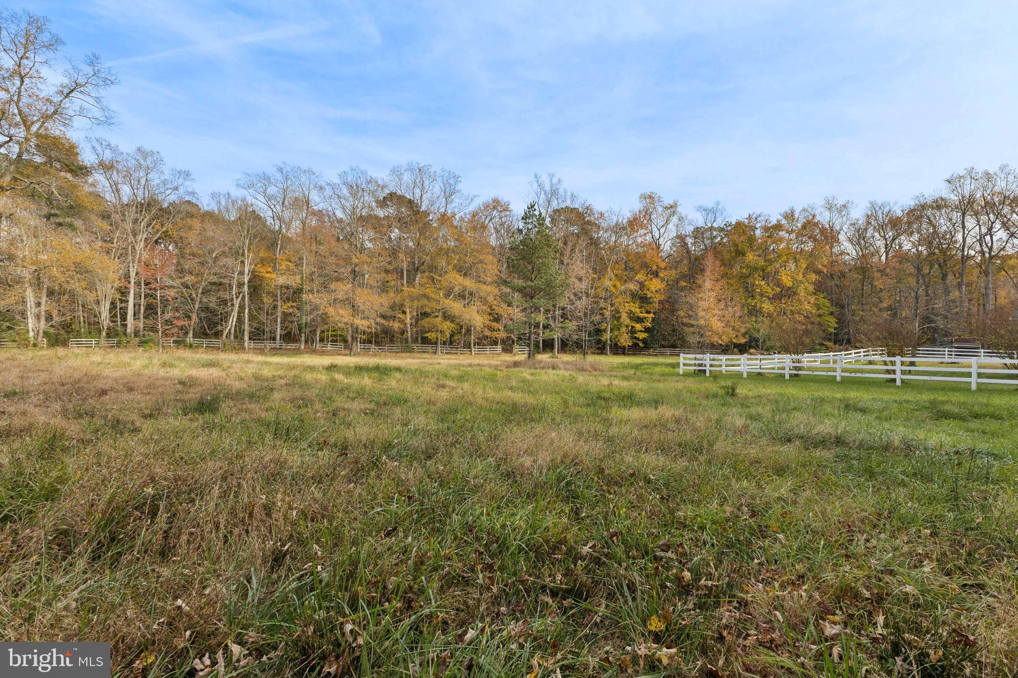 24530 Hollywood Road Hollywood, MD 20636 - Photo 26 of 40 a view of a field with trees in background