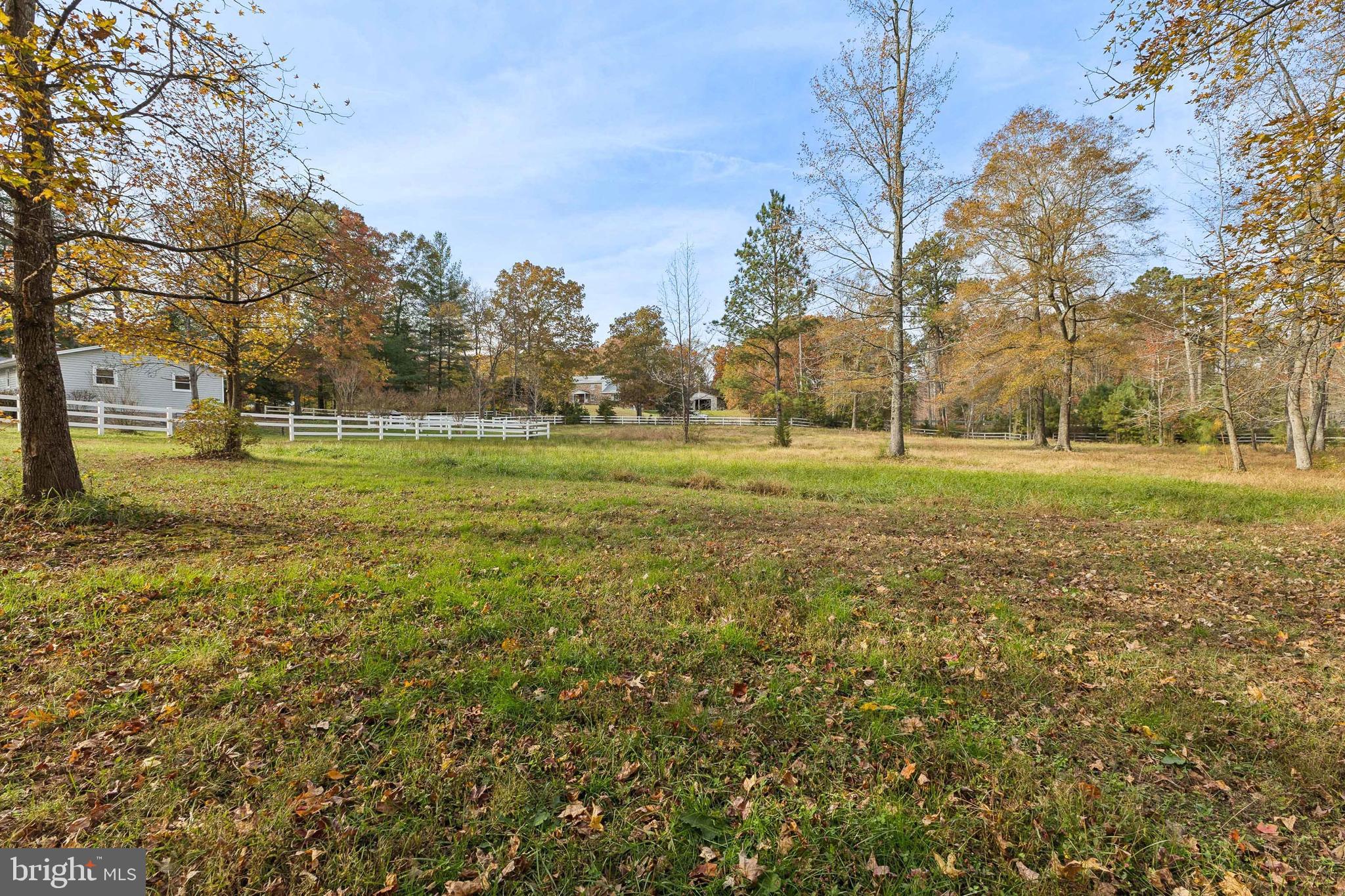 24530 Hollywood Road Hollywood, MD 20636 - Photo 32 of 40 a big yard with lots of green space and trees