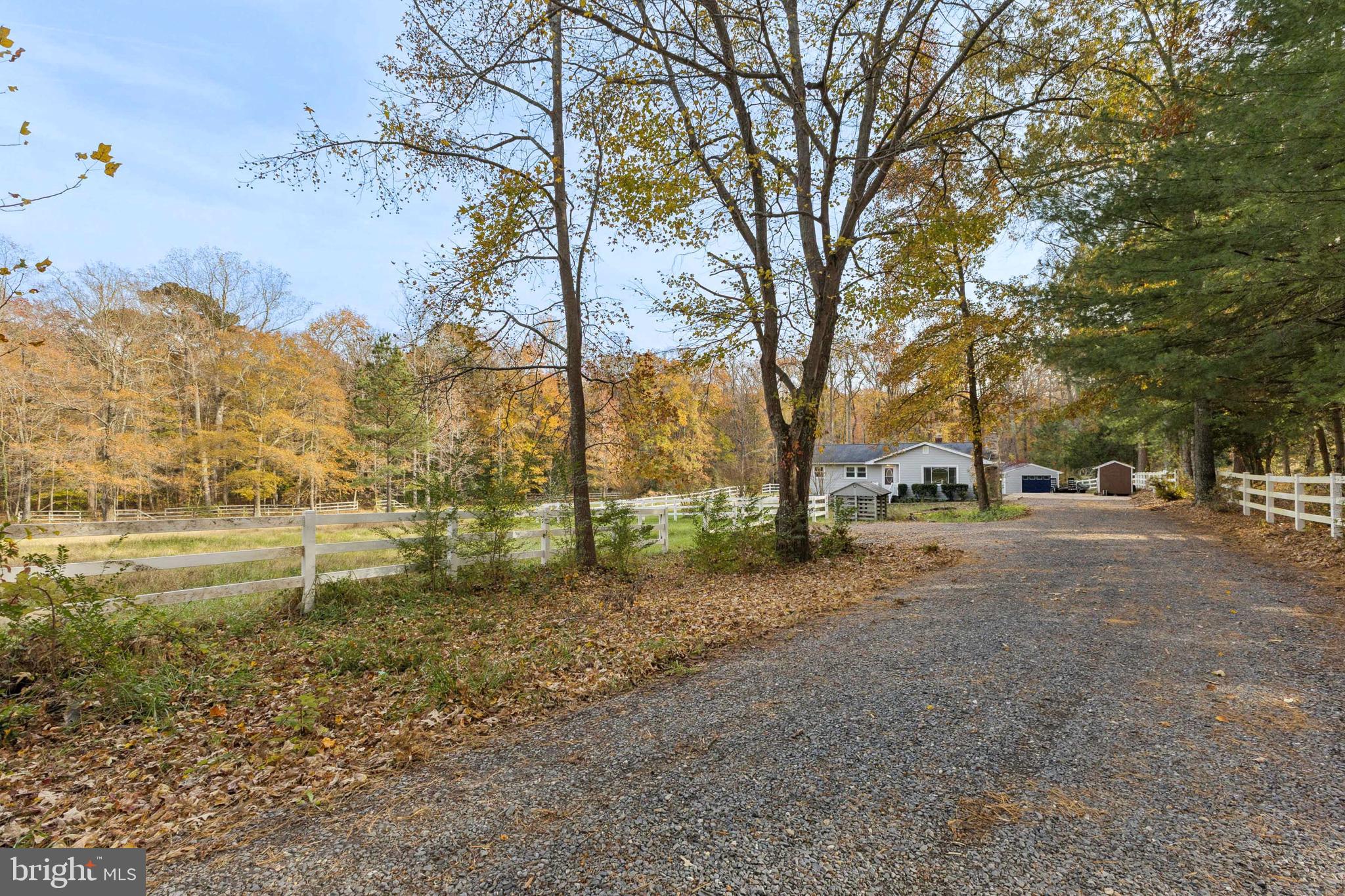 24530 Hollywood Road Hollywood, MD 20636 - Photo 4 of 40 a view of dirt yard with a trees
