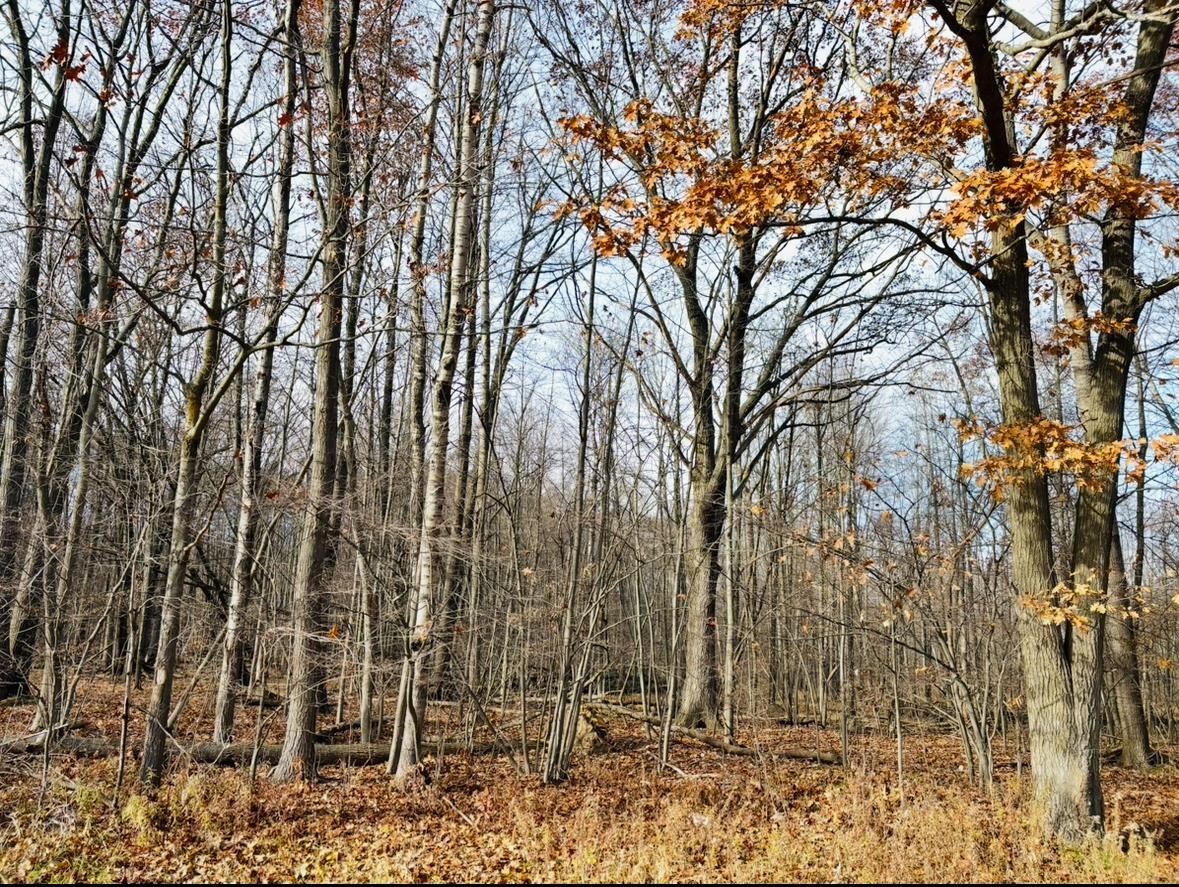 0 North Waldo Road Midland, MI 48642 - Photo 1 of 4 Gallery Image 1