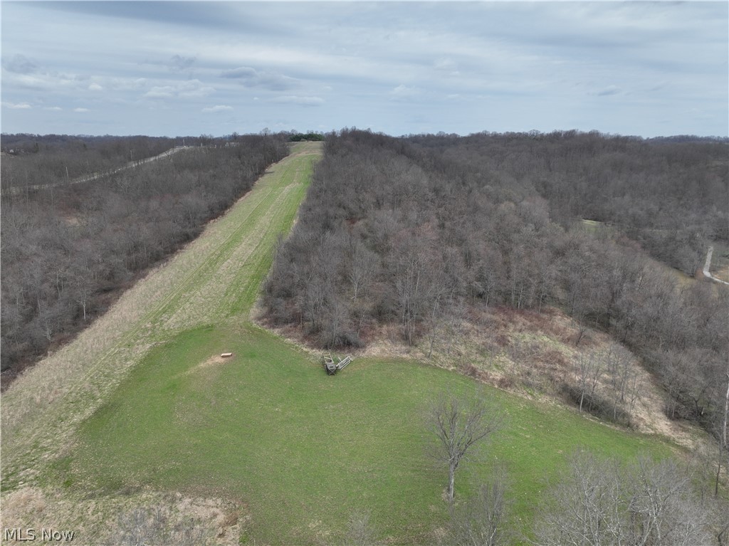 39000 Lees Run Road Cadiz, OH 43907 - Photo 4 of 49