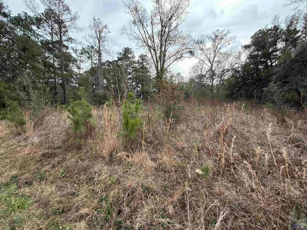 $37,500 | 26126 Cloverland Road, Lacombe, LA 70445