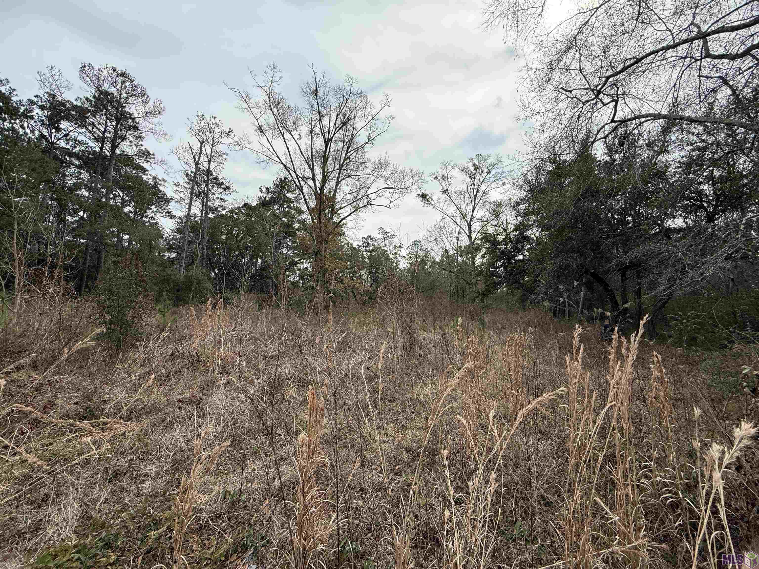 26126 Cloverland Road Lacombe, LA 70445 - Photo 2 of 4