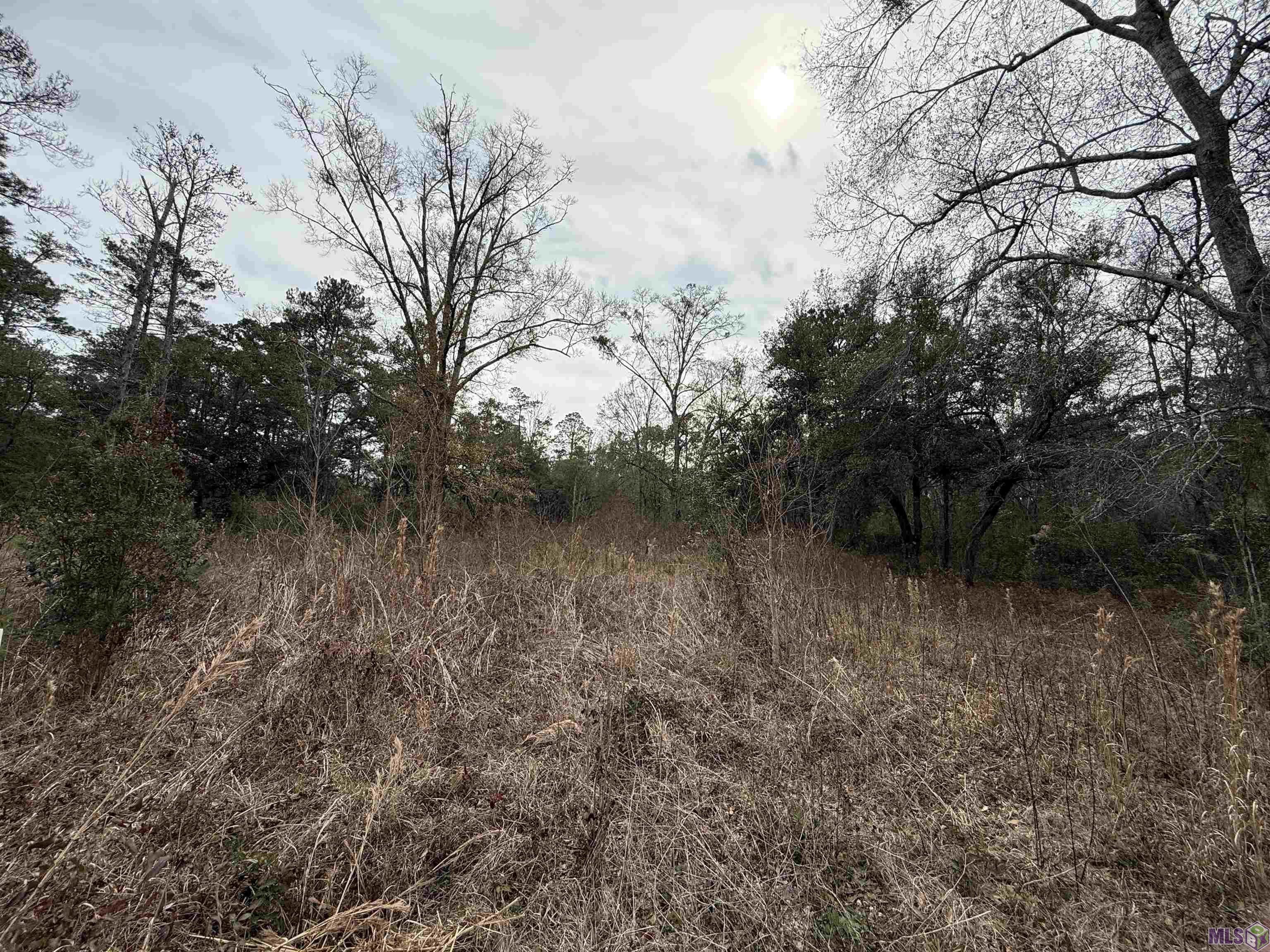 26126 Cloverland Road Lacombe, LA 70445 - Photo 3 of 4