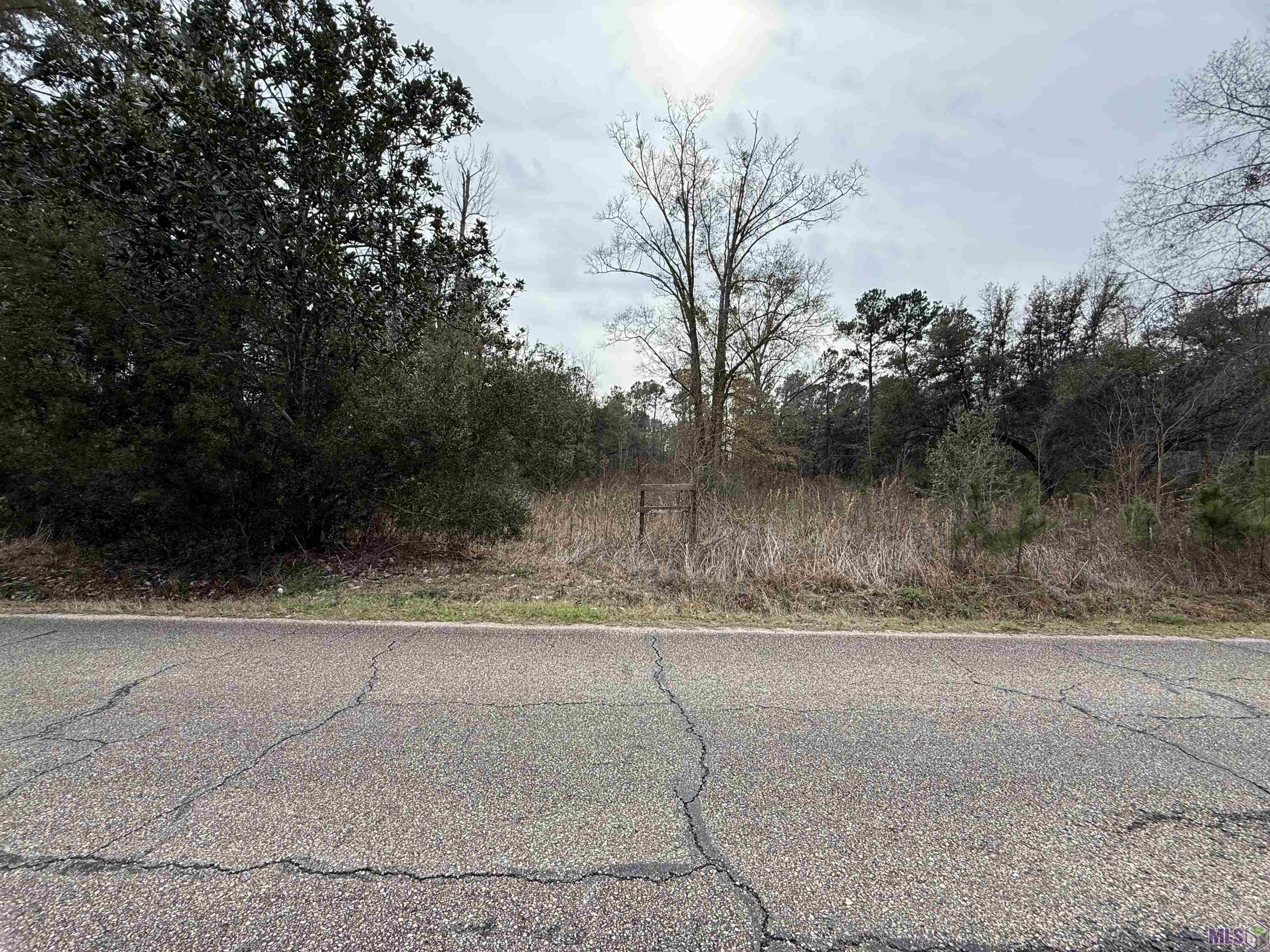 26126 Cloverland Road Lacombe, LA 70445 - Photo 4 of 4