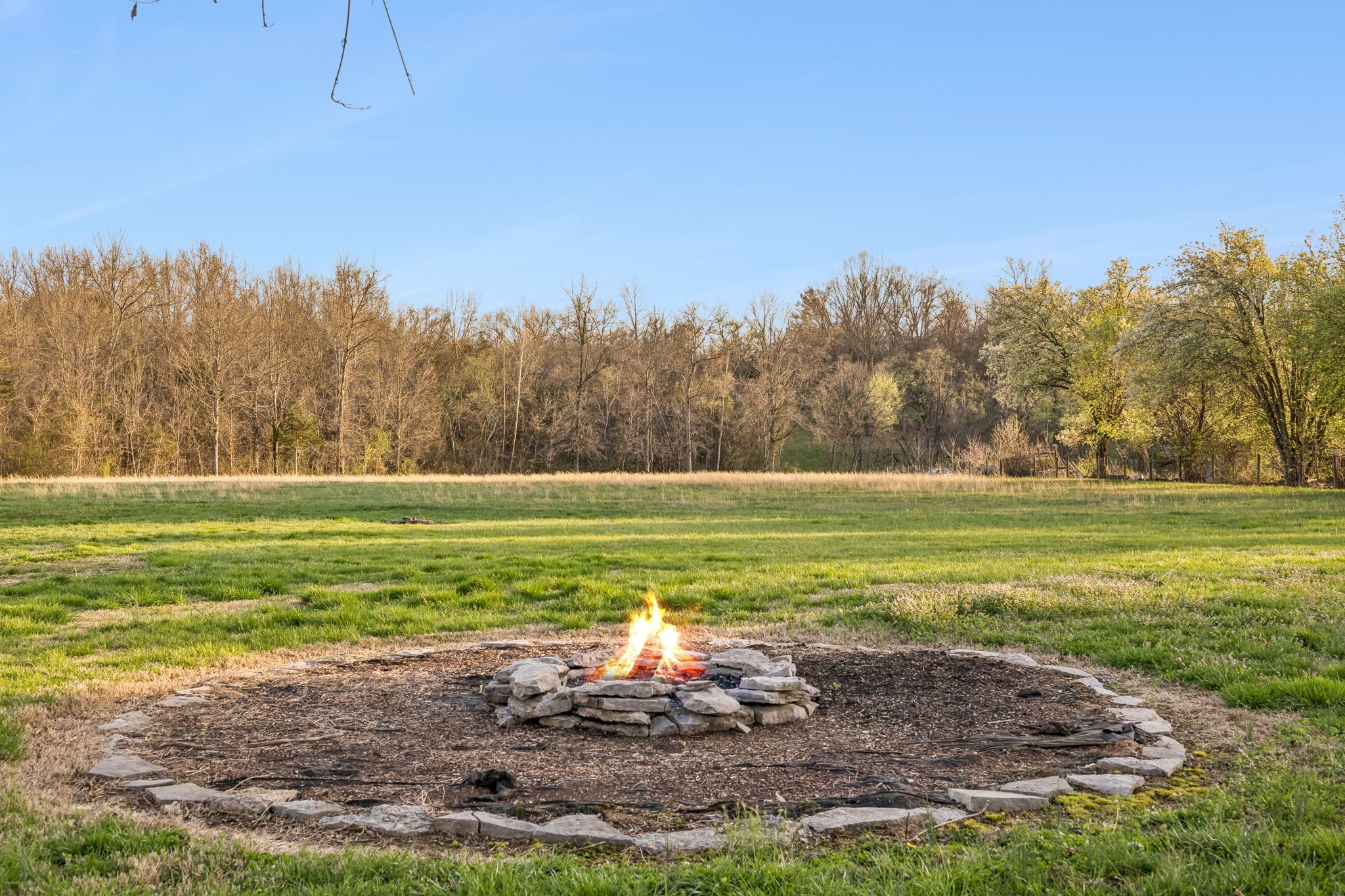 8435 Taliaferro Road Eagleville, TN 37060 - Photo 11 of 23