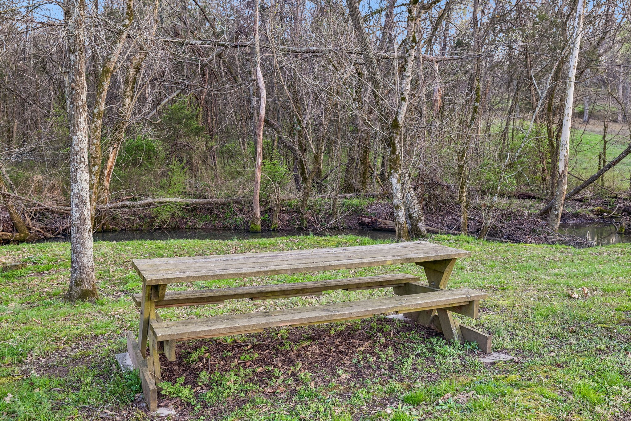 8435 Taliaferro Road Eagleville, TN 37060 - Photo 12 of 23