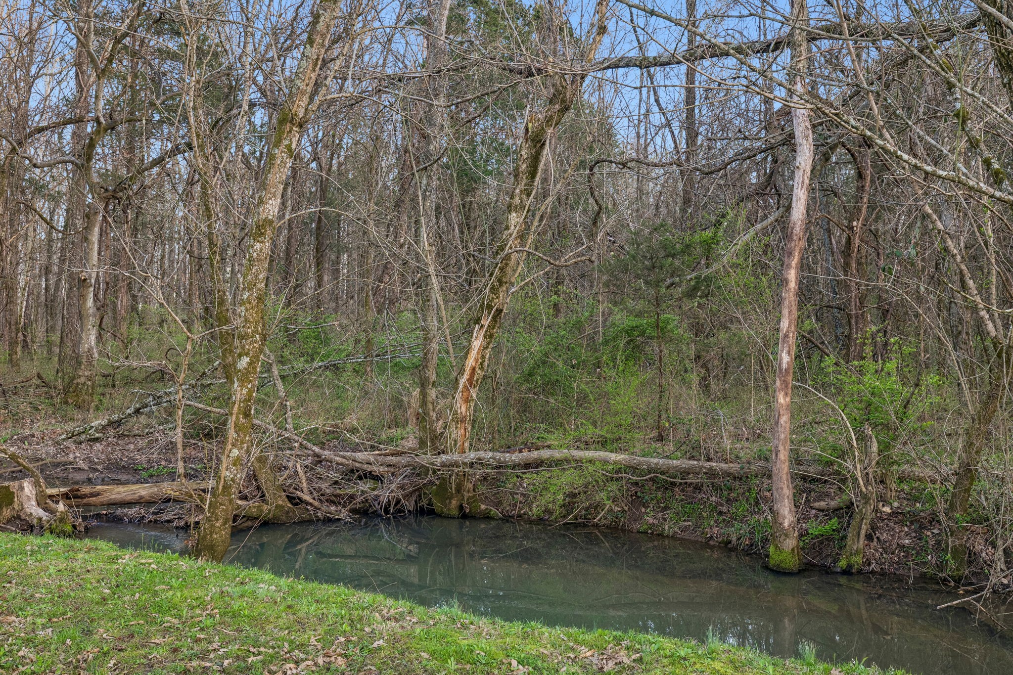 8435 Taliaferro Road Eagleville, TN 37060 - Photo 15 of 23