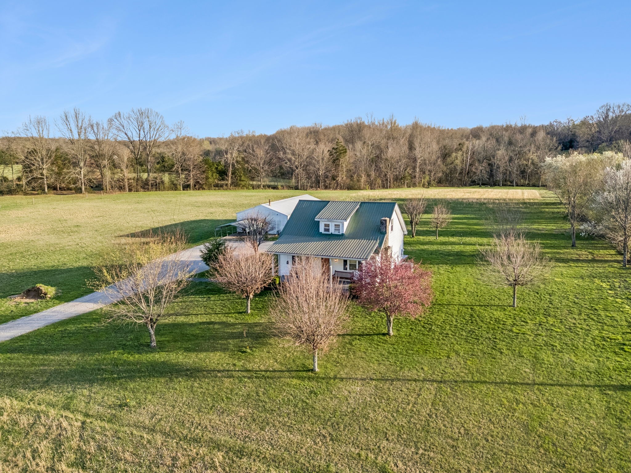 8435 Taliaferro Road Eagleville, TN 37060 - Photo 6 of 23