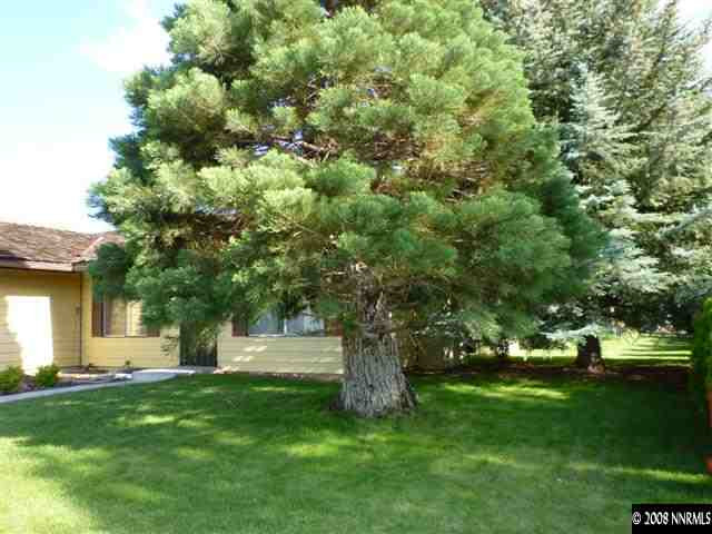 715 Rolando Way Carson City, NV 89701 - Photo 9 of 9 Photo 9