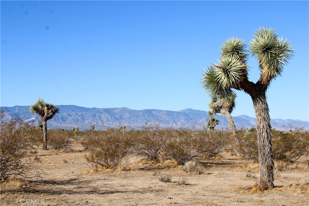 11-ac Sacramento Road Phelan, CA 92371 - Photo 3 of 13