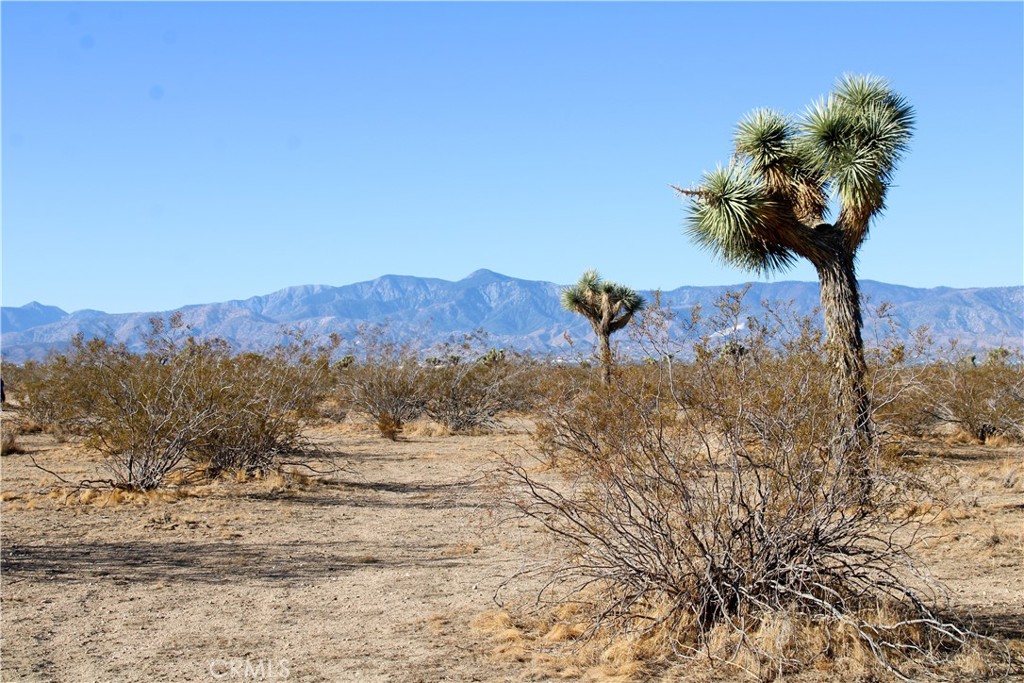 11-ac Sacramento Road Phelan, CA 92371 - Photo 4 of 13 a view of a dry yard with a mountain