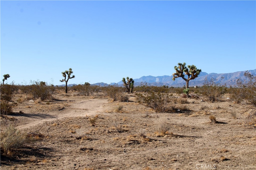 11-ac Sacramento Road Phelan, CA 92371 - Photo 9 of 13 a view of a beach with a mountain in the background
