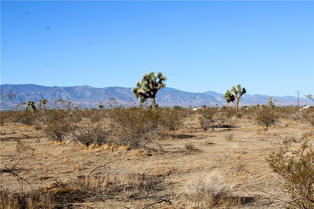 11-ac Sacramento Road Phelan, CA 92371 - Photo 10 of 13 a view of a sky view