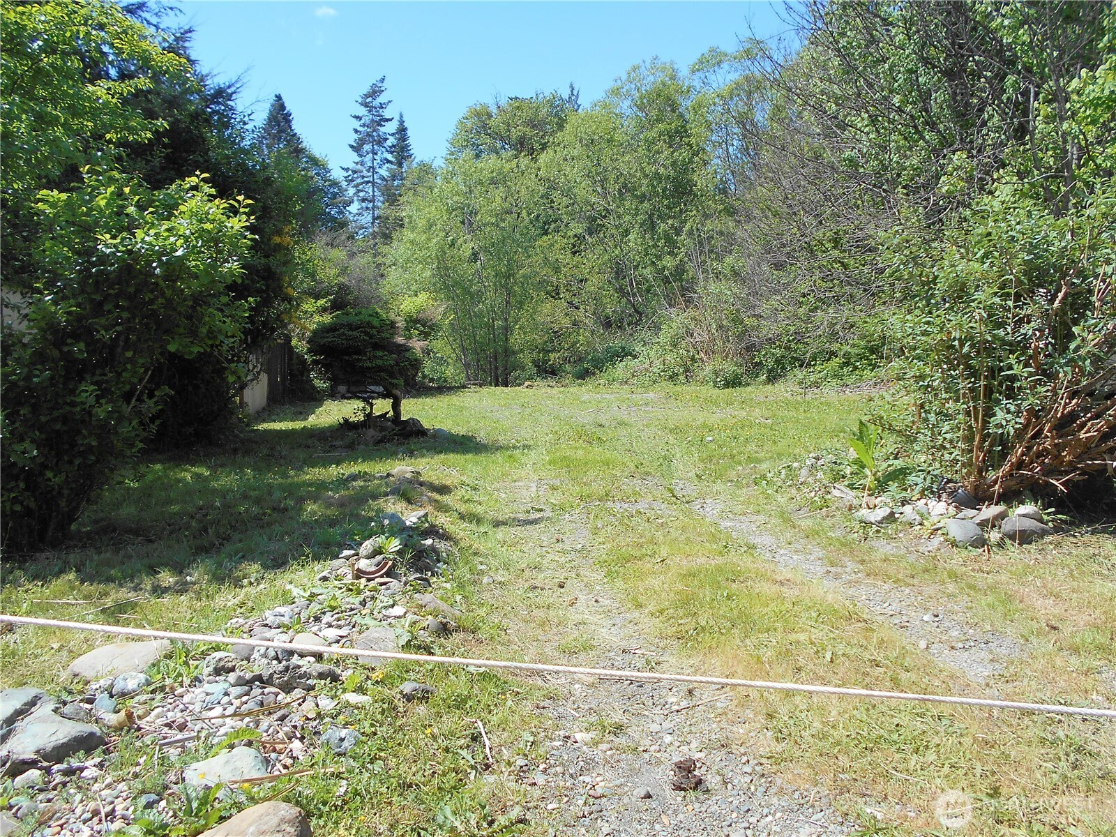 170 Kelly Road Brinnon, WA 98320 - Photo 20 of 29 a view of a yard with an trees