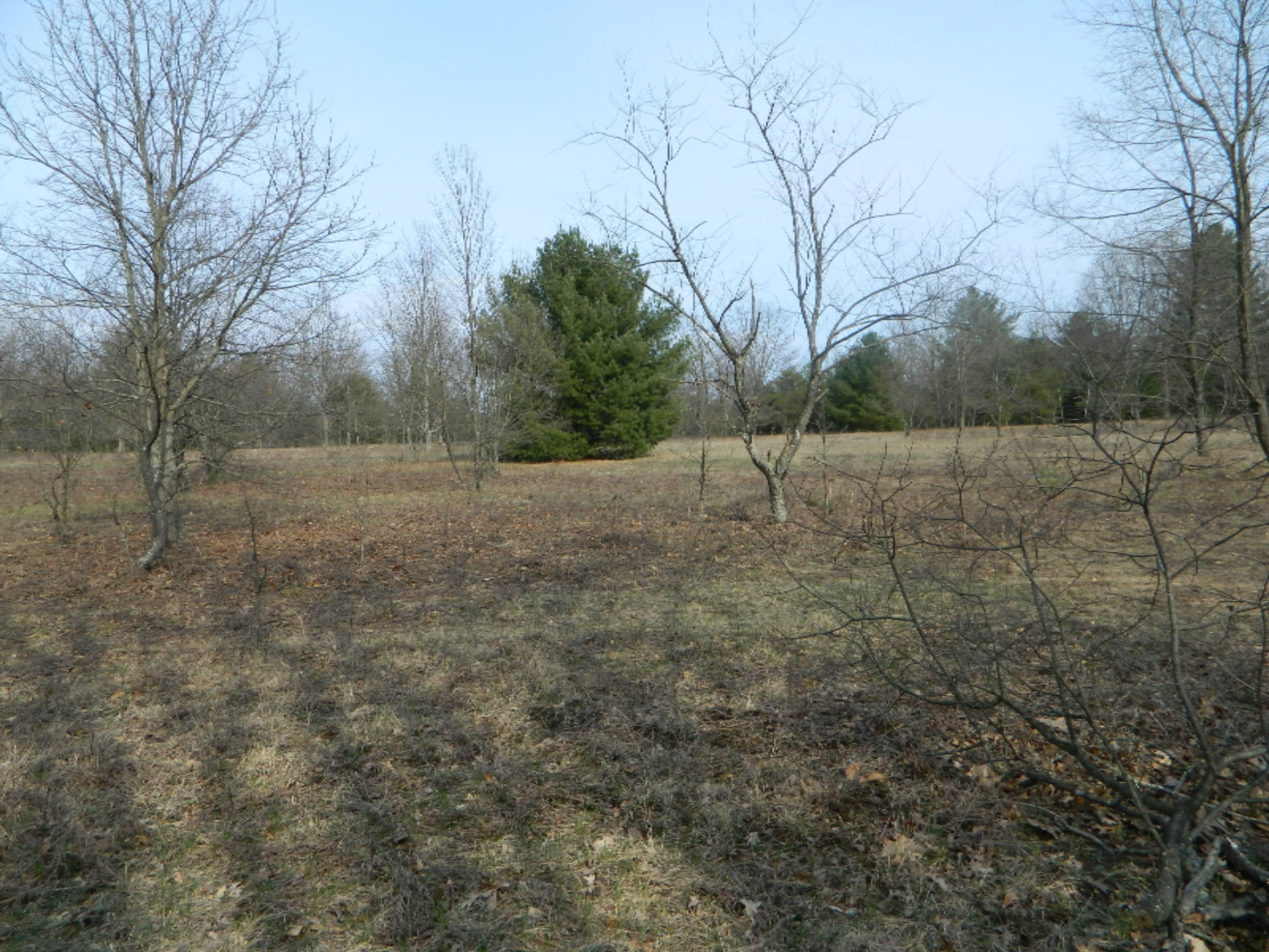 800 West McKinley Road Rothbury, MI 49452 - Photo 3 of 3 DSCN0013