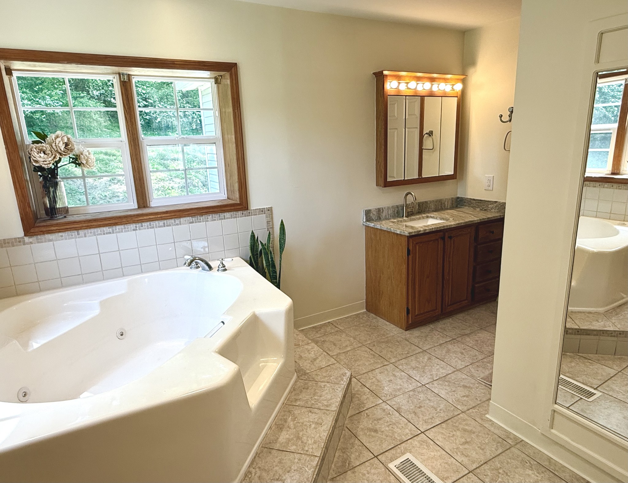4002 Rippey Lake Road Mount Pleasant, TN 38474 - Photo 18 of 43 a spacious bathroom with a tub sink and mirror