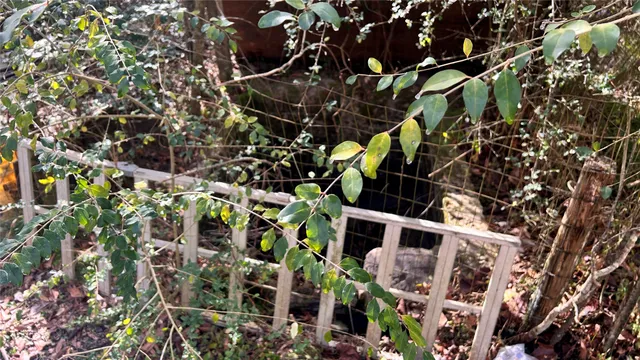 a view of yard with tree