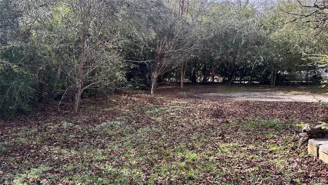 a view of outdoor space with trees