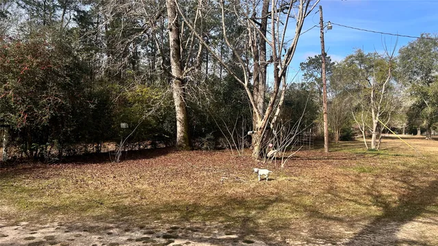 a view of outdoor space with trees