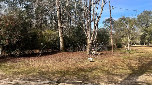 a view of outdoor space