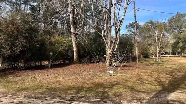 $95,000 | 1503 County Road 4455, Hillister, TX 77624