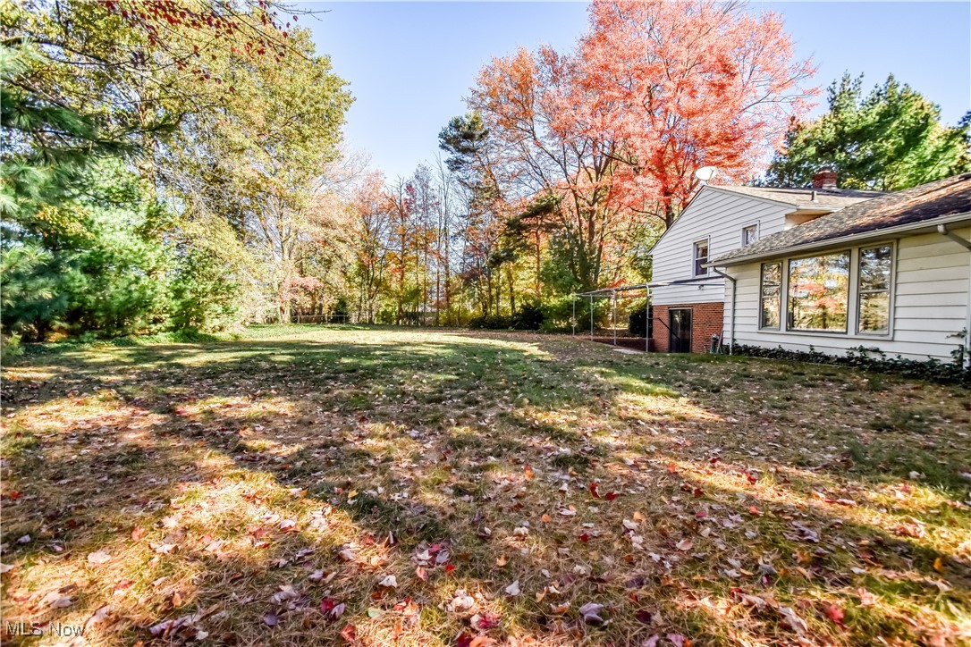 6145 Hemingway Road Cleveland, OH 44143 - Photo 48 of 50 View of green lawn