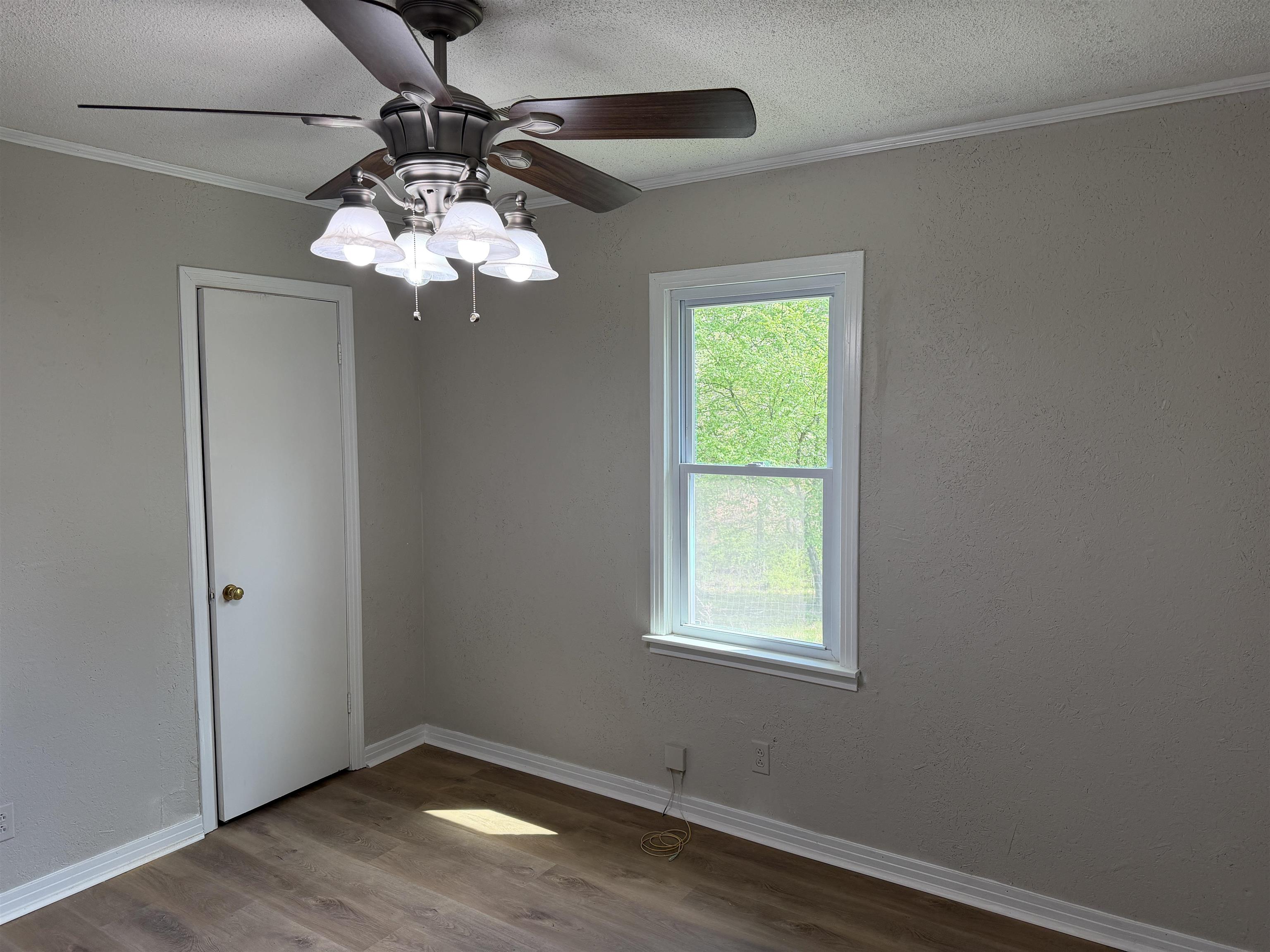 940 Old Lula Road Reagan, TN 38368 - Photo 21 of 39 a view of a chandelier fan and a window