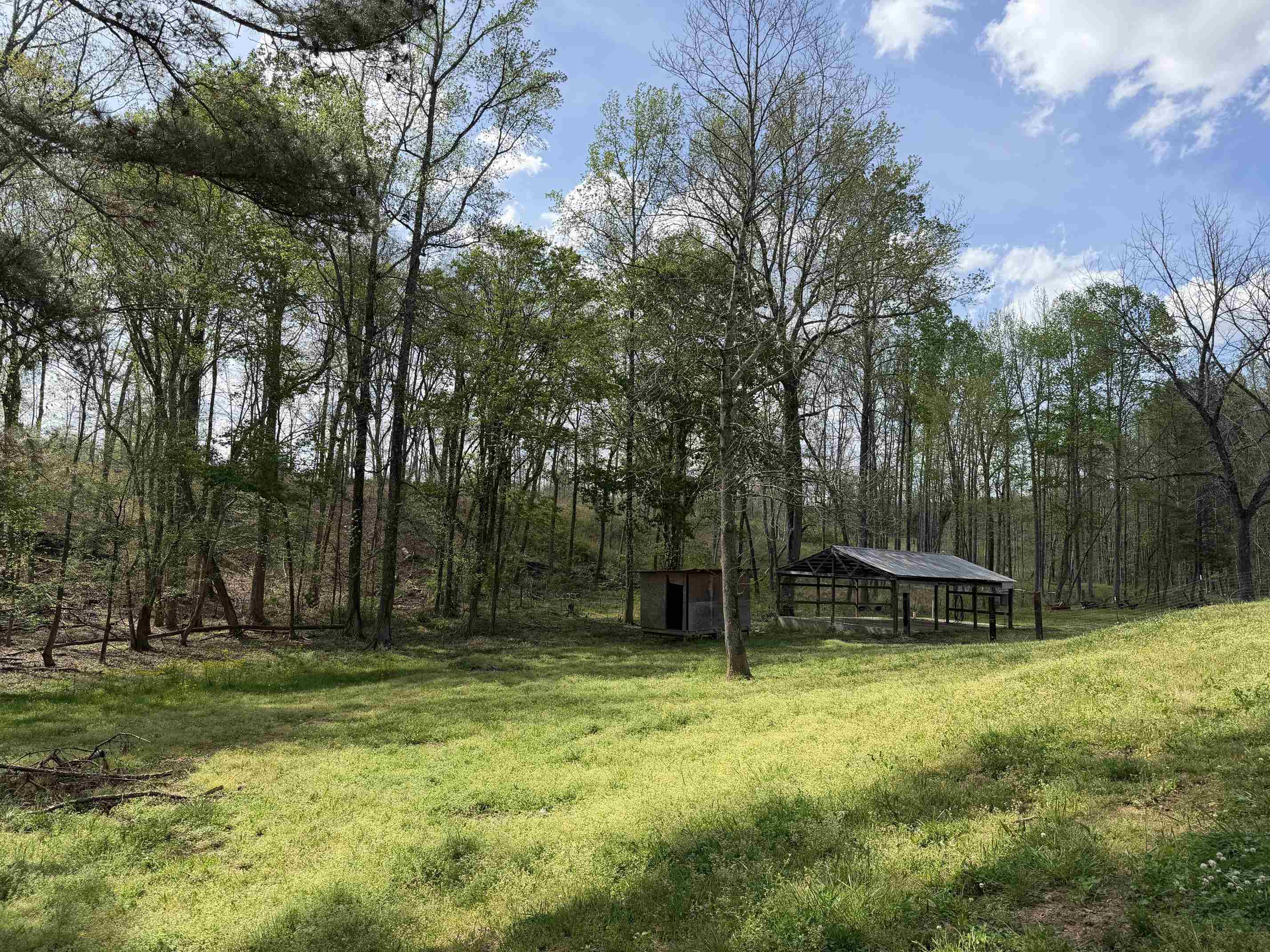 940 Old Lula Road Reagan, TN 38368 - Photo 28 of 39 a backyard of a house with lots of green space