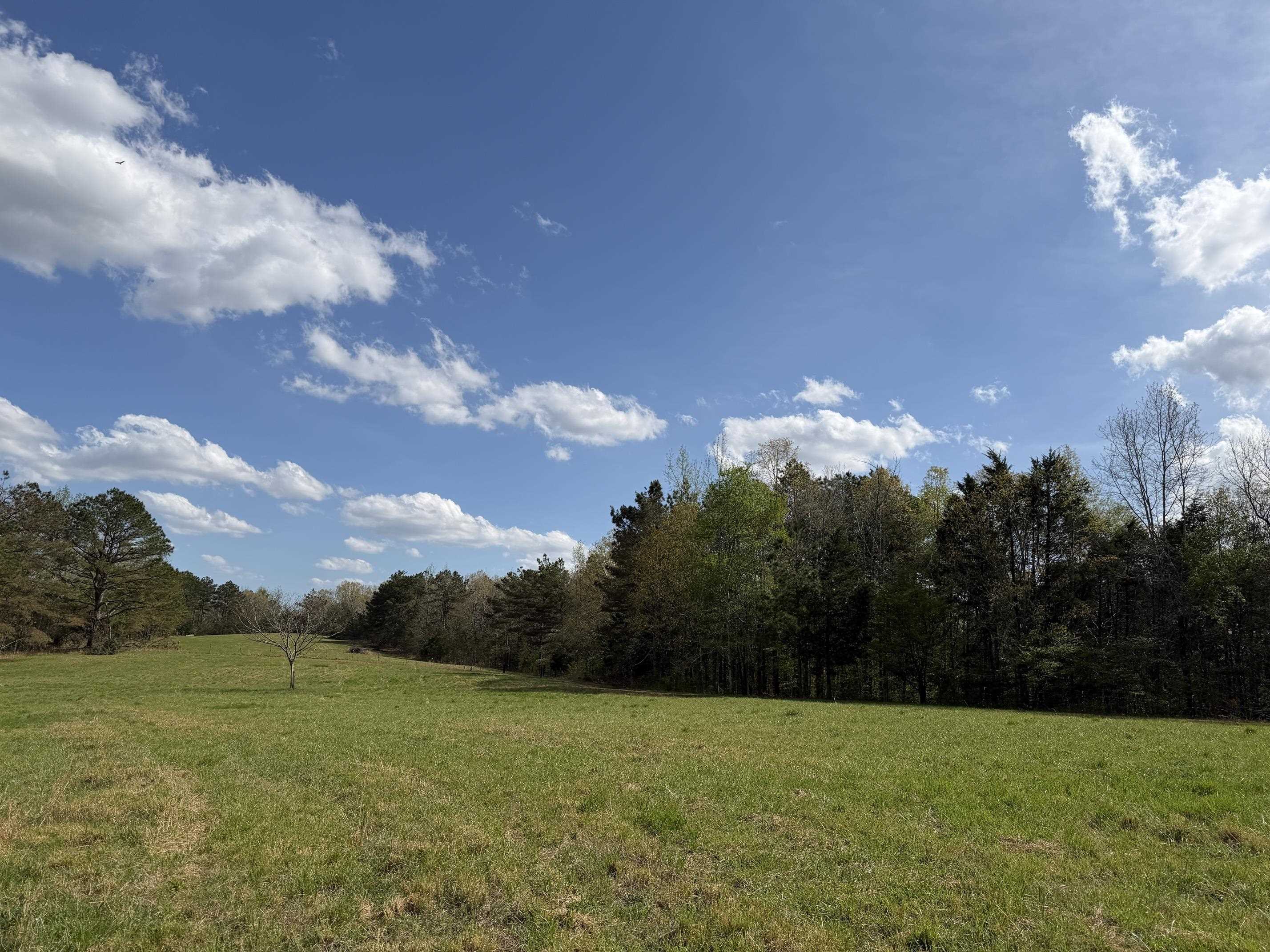 940 Old Lula Road Reagan, TN 38368 - Photo 33 of 39 a view of a golf course with a house