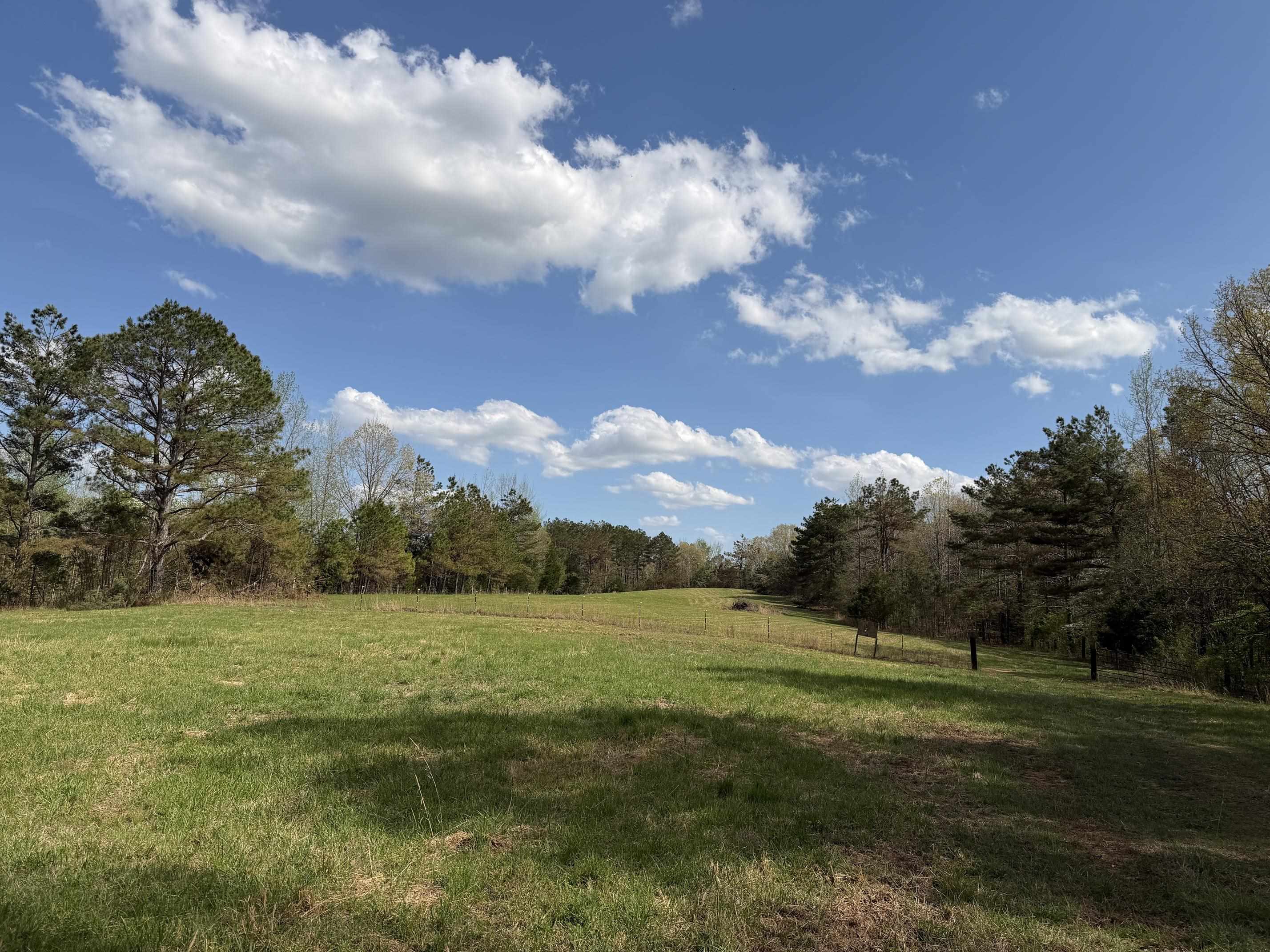 940 Old Lula Road Reagan, TN 38368 - Photo 34 of 39 a view of a field with an ocean