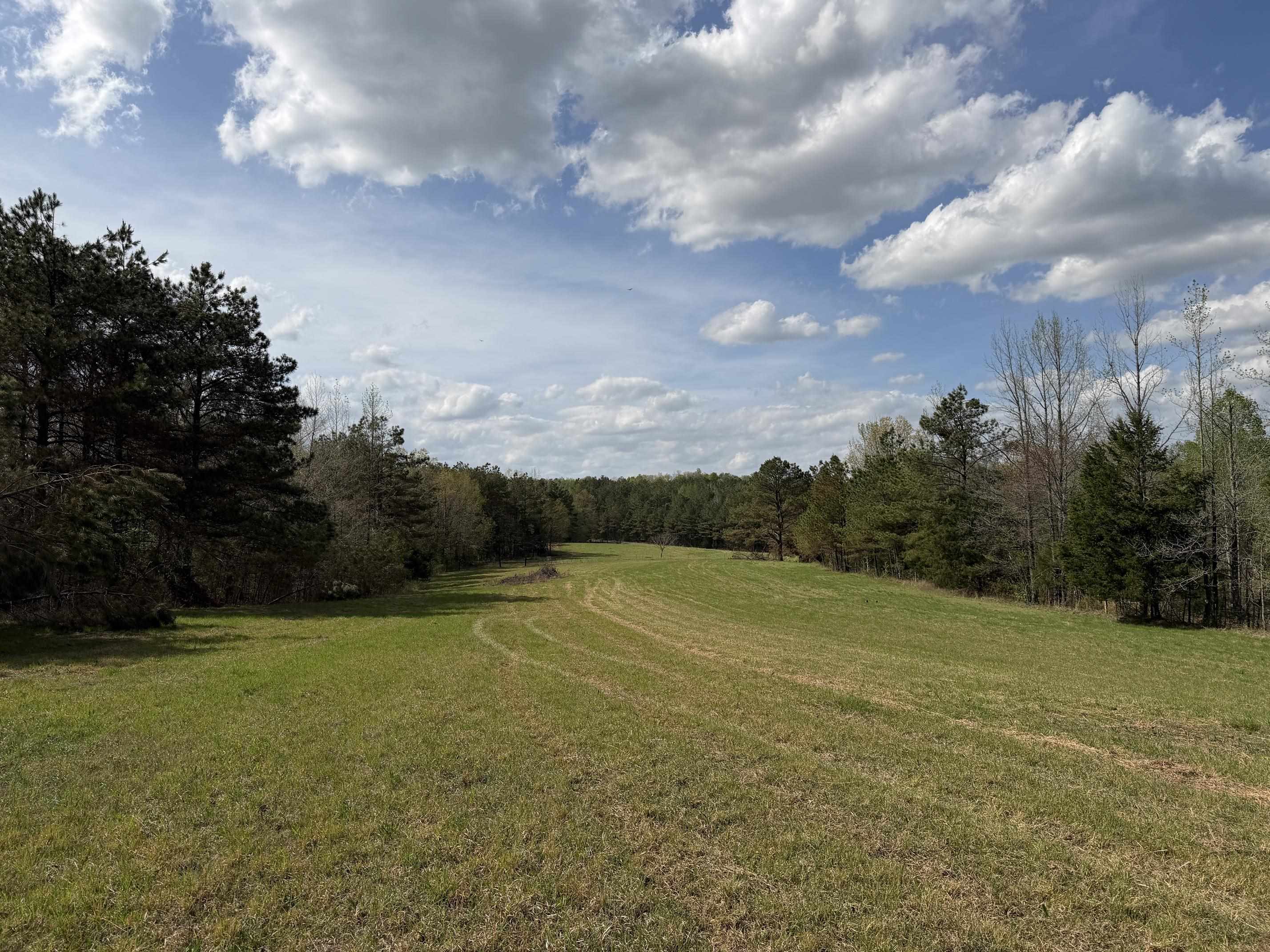 940 Old Lula Road Reagan, TN 38368 - Photo 35 of 39 a view of an outdoor space and tennis court