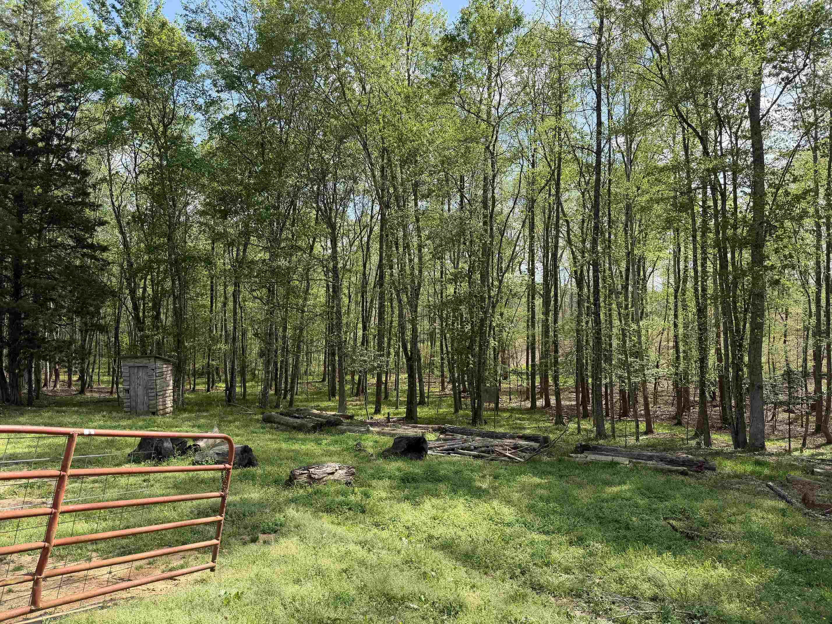 940 Old Lula Road Reagan, TN 38368 - Photo 37 of 39 a view of park with trees