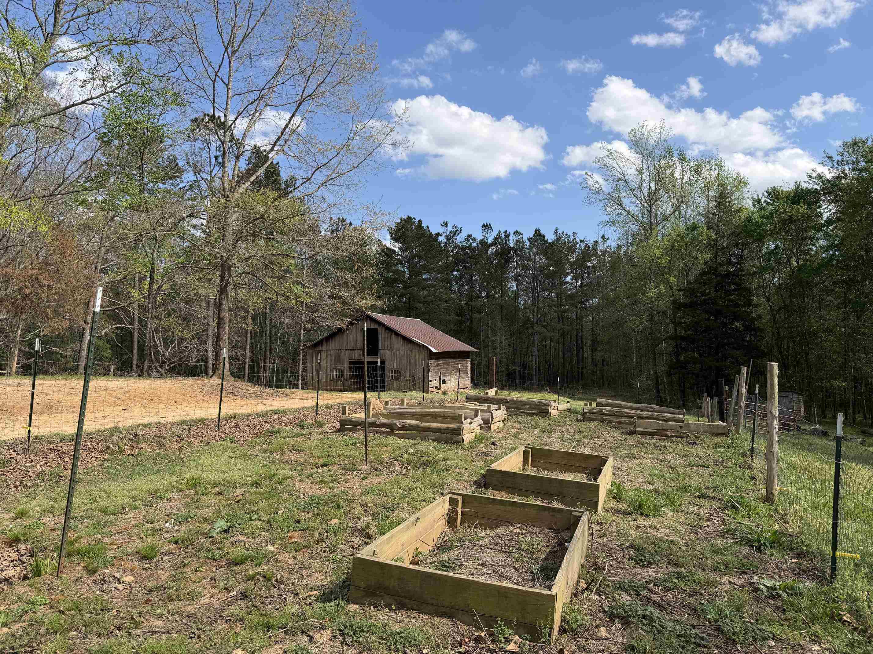 940 Old Lula Road Reagan, TN 38368 - Photo 5 of 39 a view of a backyard with large trees