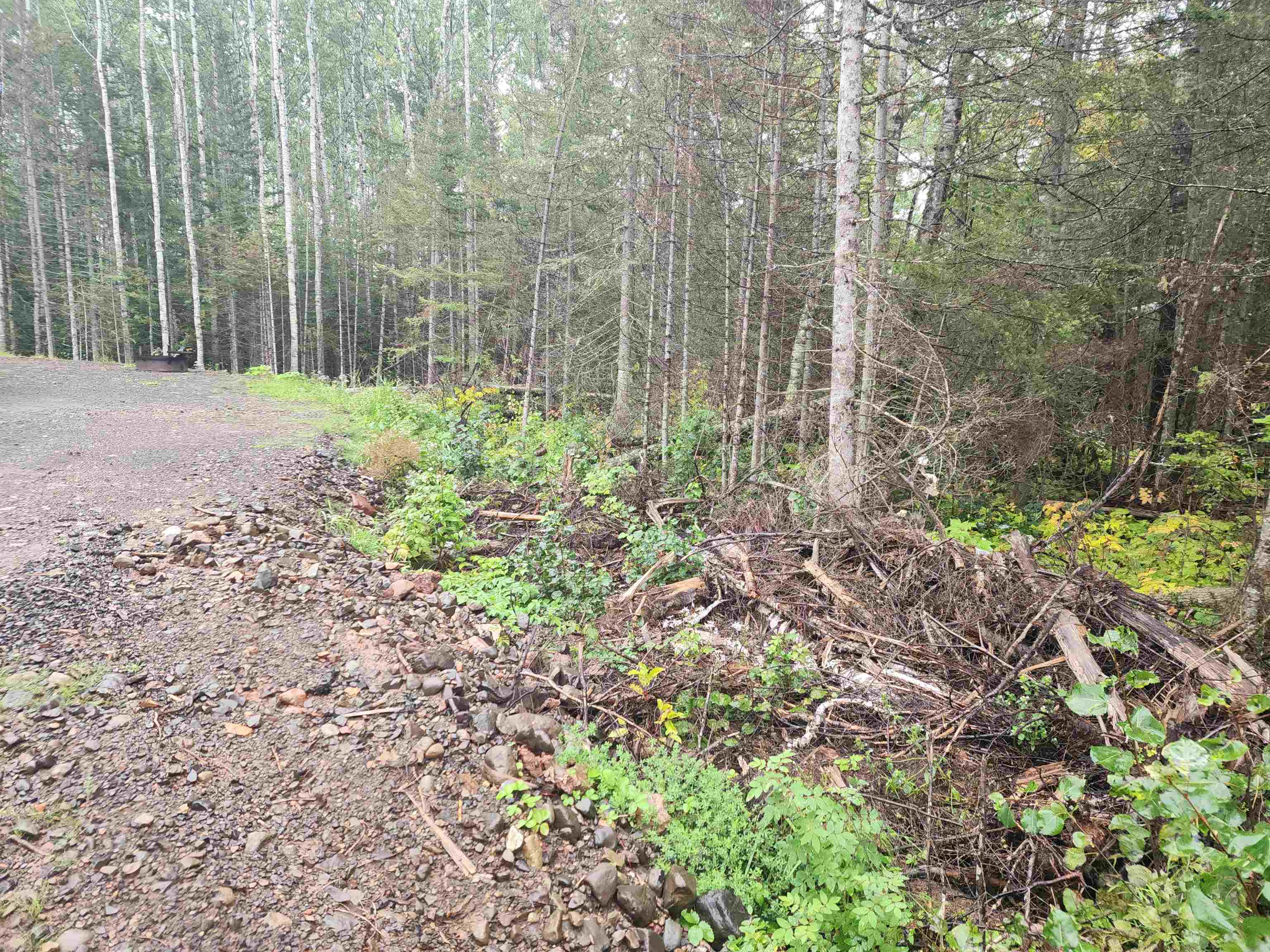4873 North Road Grand Marais, MN 55604 - Photo 20 of 21