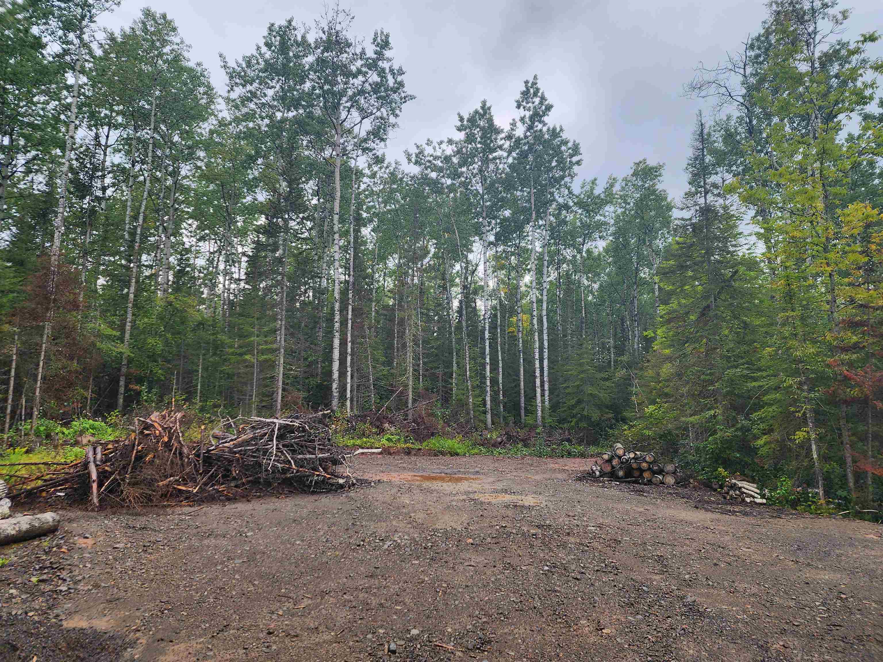 4873 North Road Grand Marais, MN 55604 - Photo 4 of 21