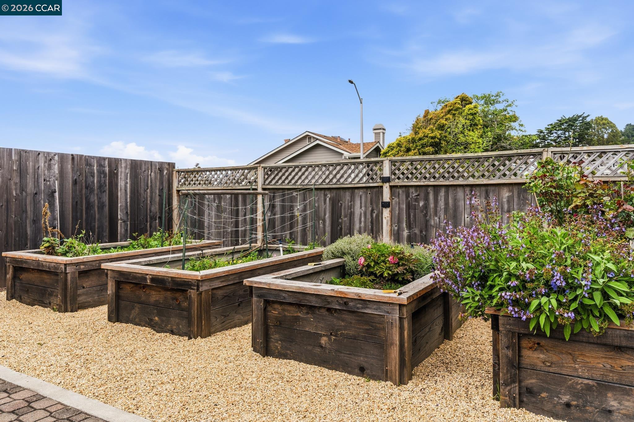 1172 Peralta Road Pacifica, CA 94044 - Photo 48 of 59