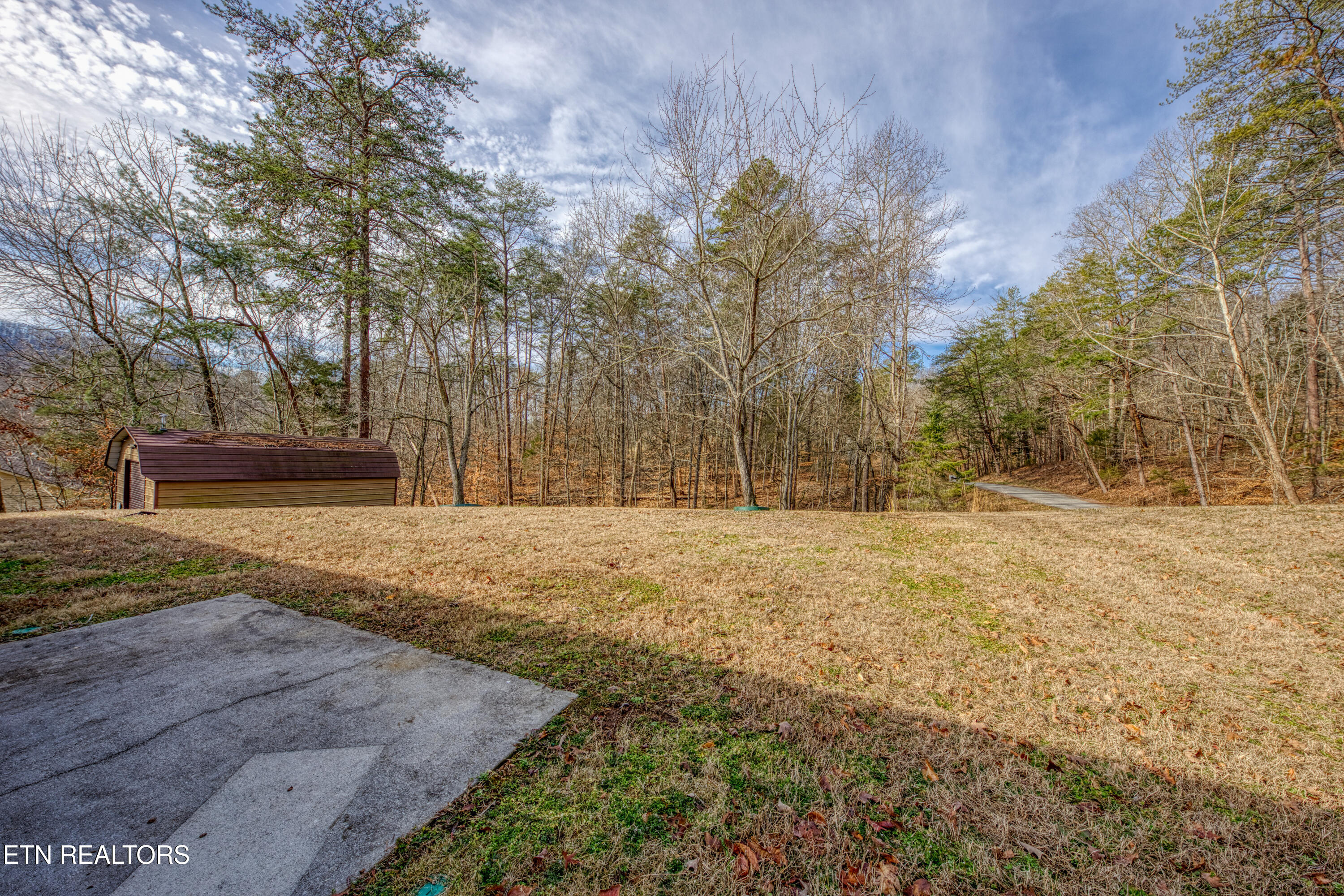215 Jamie Street Maynardville, TN 37807 - Photo 10 of 33 0H3A0968_14