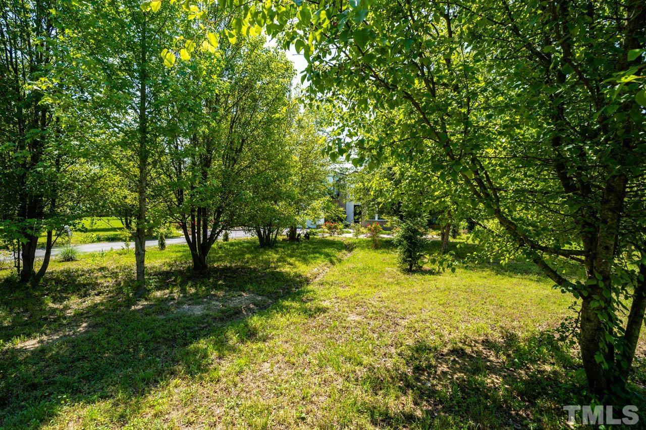 1028 Todd Road Knightdale, NC 27545 - Photo 48 of 48 a view of lake view