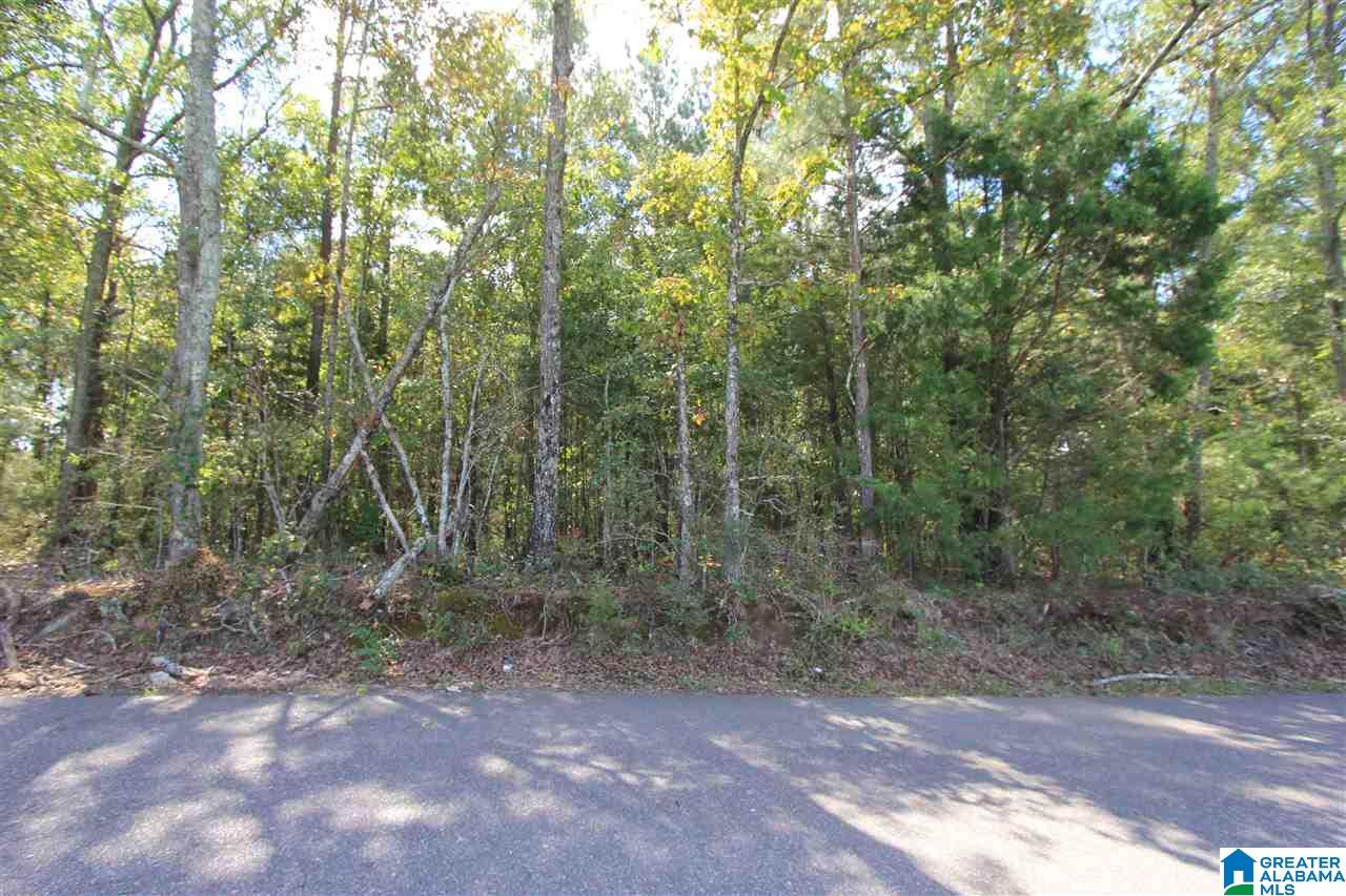 0 County Line Road West, Unit PIN# 5229 Eastaboga, AL 36260 - Photo 4 of 5