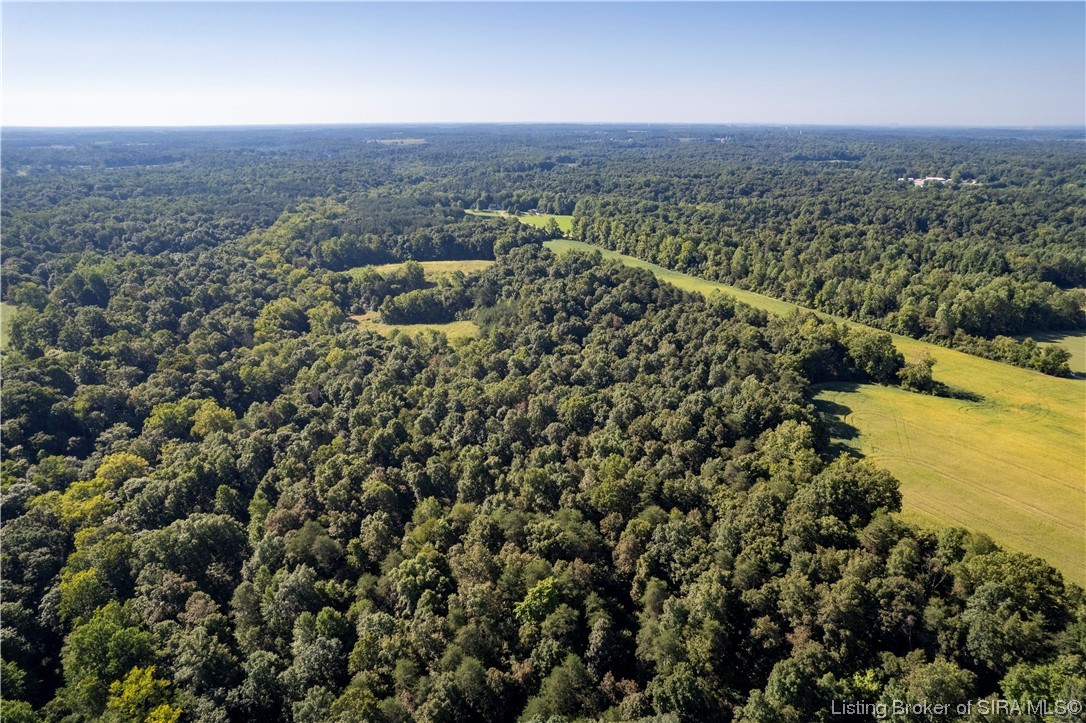 14806 Gum Corner Road Otisco, IN 47163 - Photo 9 of 34