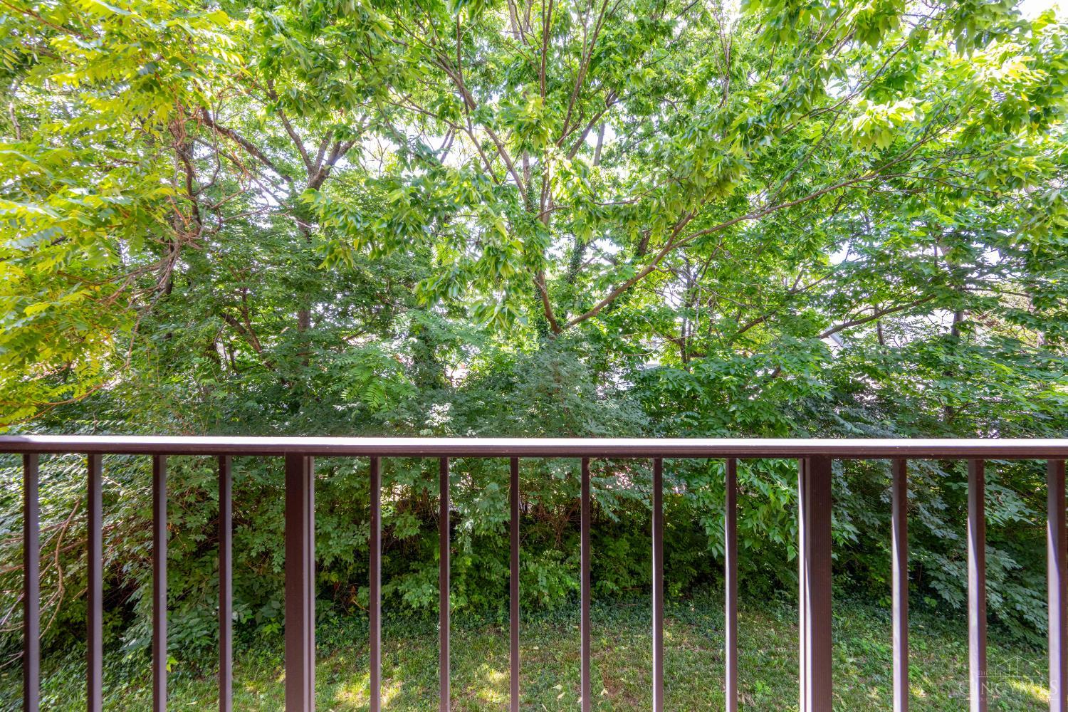 518 Riddle Road, Unit 7 Cincinnati, OH 45220 - Photo 36 of 43 Gallery Image 36